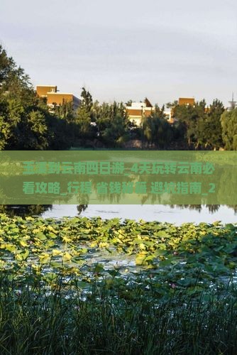 玉溪到云南四日游
