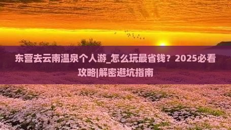 东营去云南温泉个人游