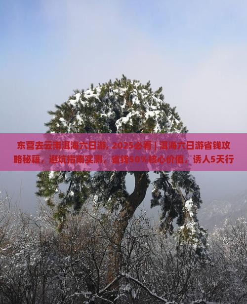 东营去云南洱海六日游