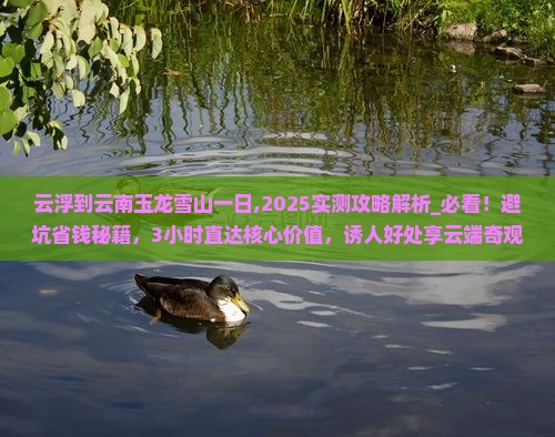 云浮到云南玉龙雪山一日