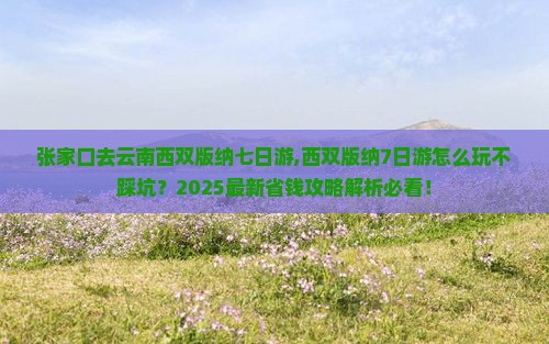 张家口去云南西双版纳七日游