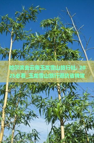 哈尔滨去云南玉龙雪山旅行社