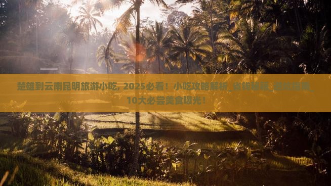 楚雄到云南昆明旅游小吃