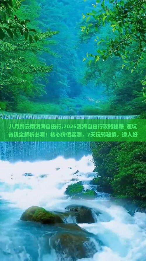 八月到云南洱海自由行