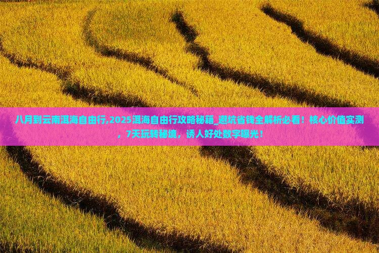 八月到云南洱海自由行