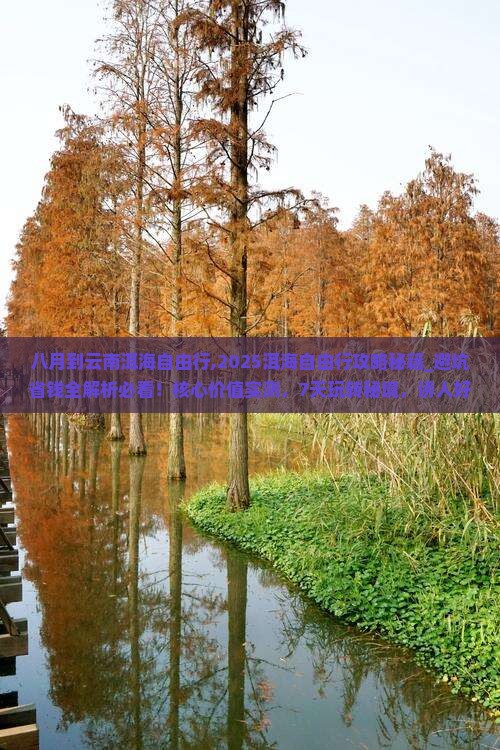 八月到云南洱海自由行