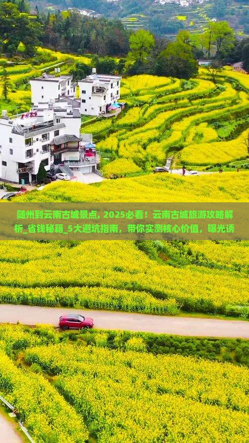 随州到云南古城景点