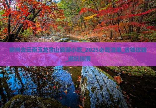 郴州去云南玉龙雪山旅游小吃