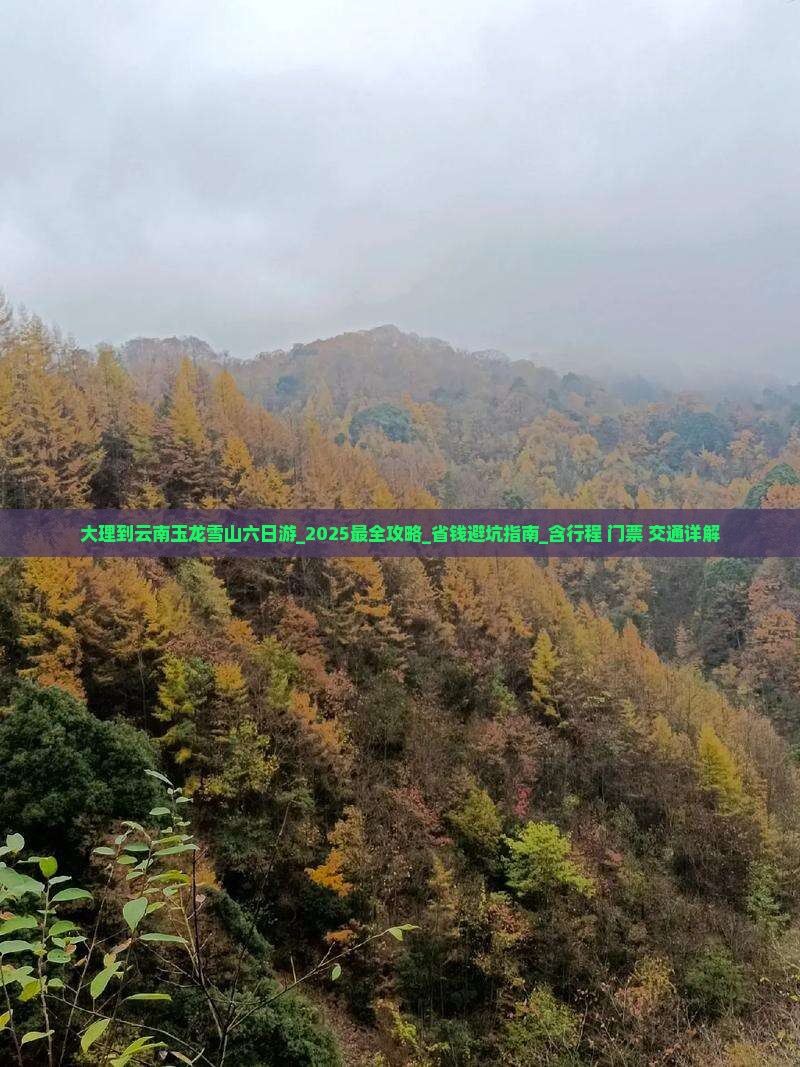 大理到云南玉龙雪山六日游