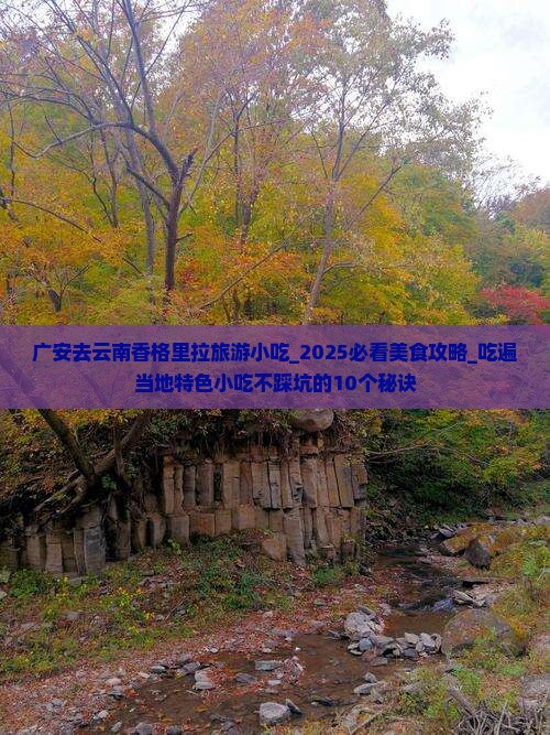 广安去云南香格里拉旅游小吃