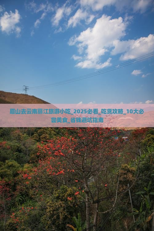眉山去云南丽江旅游小吃