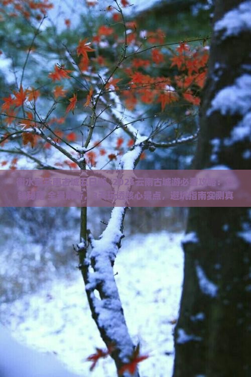 衡水到云南古城五日游