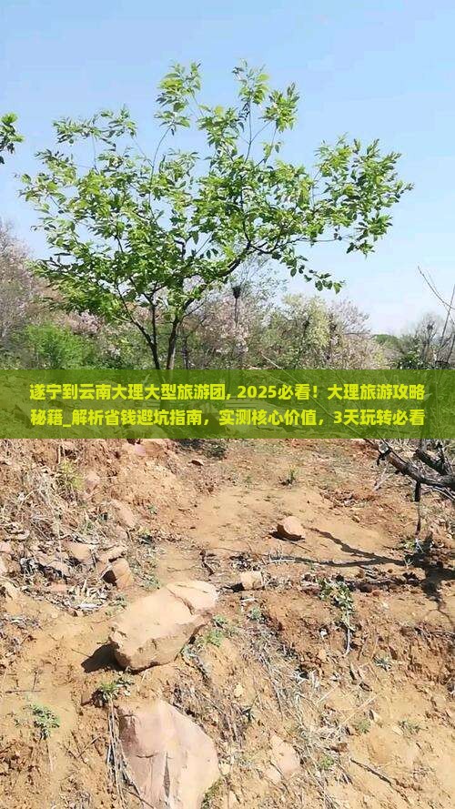 遂宁到云南大理大型旅游团