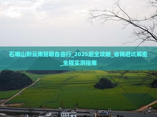 石嘴山到云南昆明自由行