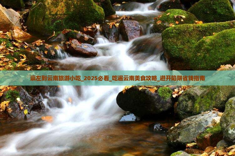 崇左到云南旅游小吃