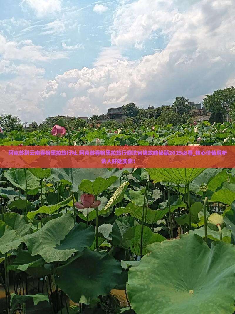 阿克苏到云南香格里拉旅行社