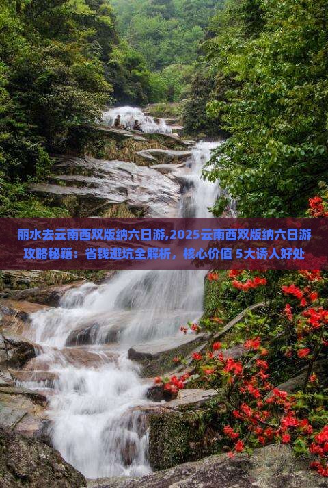 丽水去云南西双版纳六日游