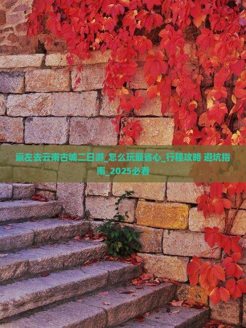 崇左去云南古城二日游