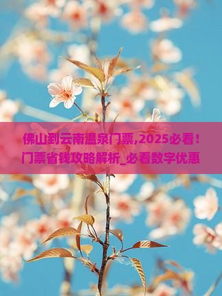 佛山到云南温泉门票