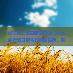 长沙到云南昆明五日游