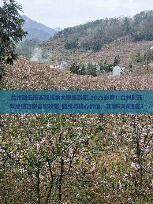 台州到云南西双版纳大型旅游团