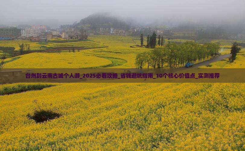 台州到云南古城个人游