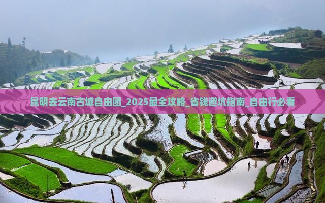 昆明去云南古城自由团