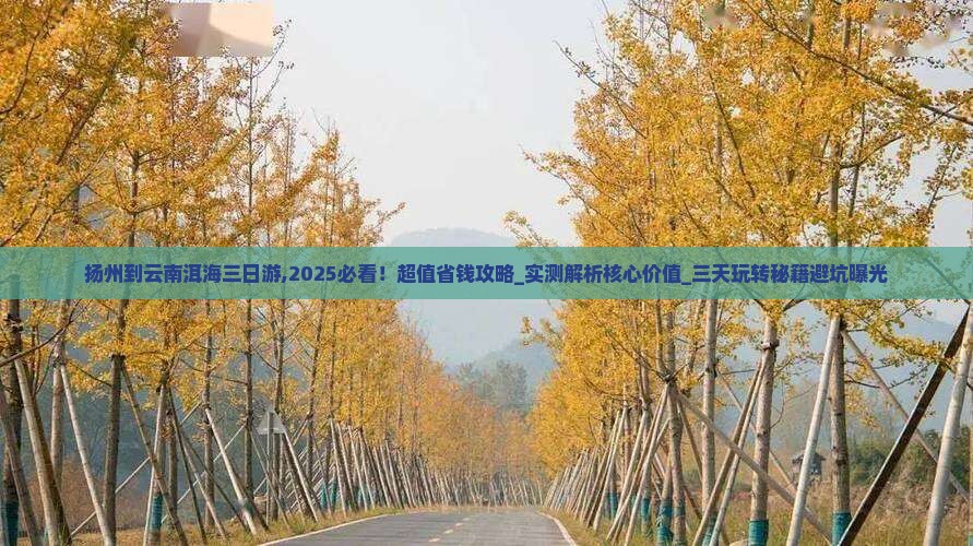 扬州到云南洱海三日游