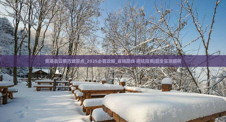 贵港去云南古城景点