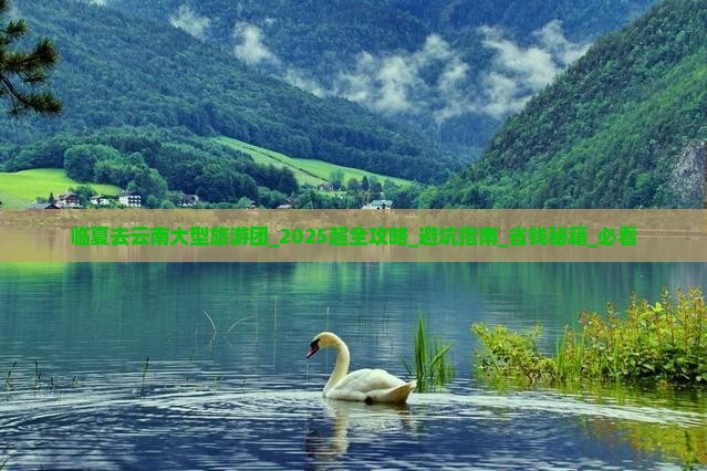 临夏去云南大型旅游团