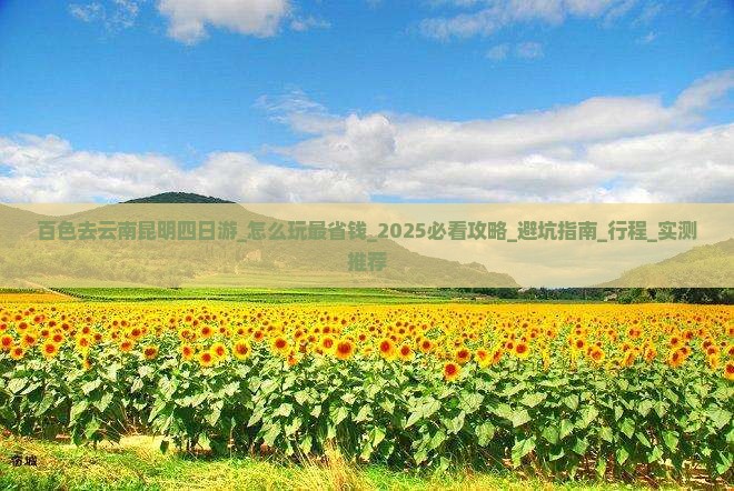 百色去云南昆明四日游