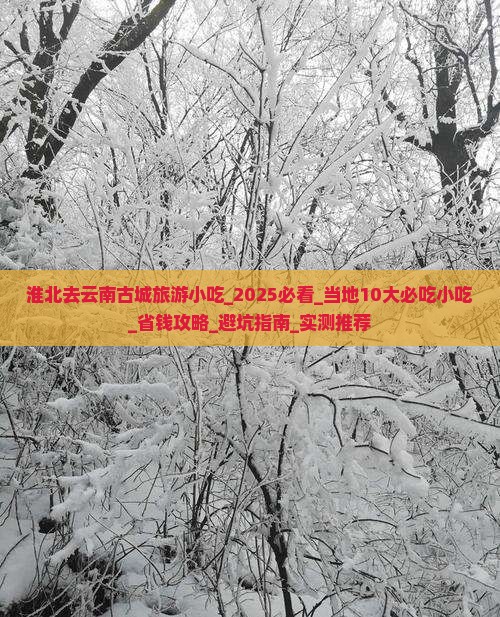淮北去云南古城旅游小吃