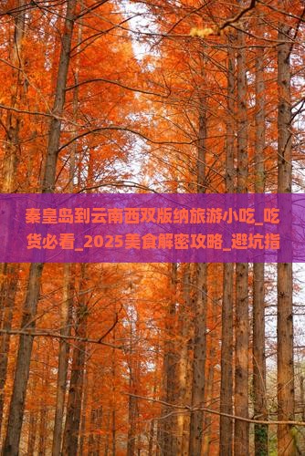 秦皇岛到云南西双版纳旅游小吃