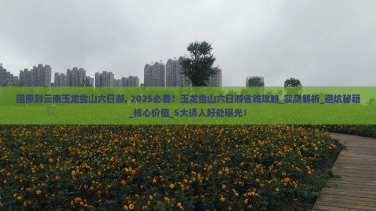 固原到云南玉龙雪山六日游