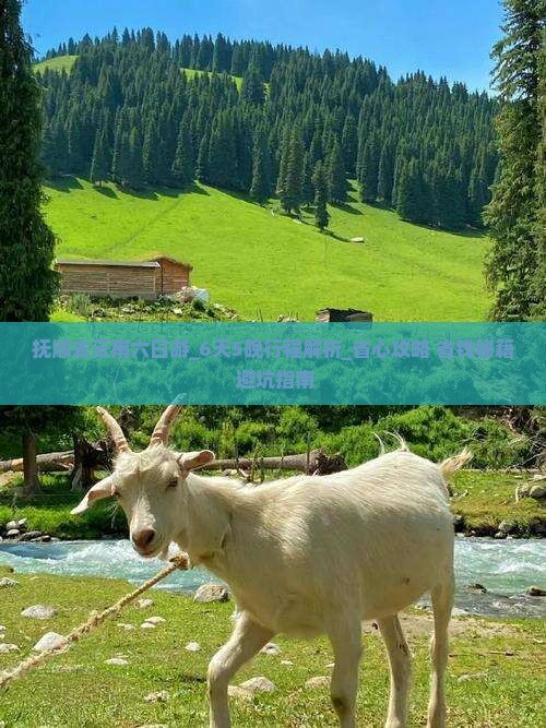 抚顺去云南六日游