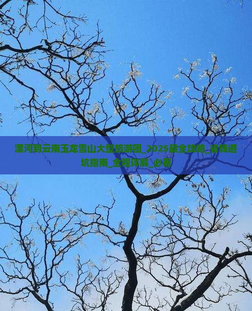 漯河到云南玉龙雪山大型旅游团