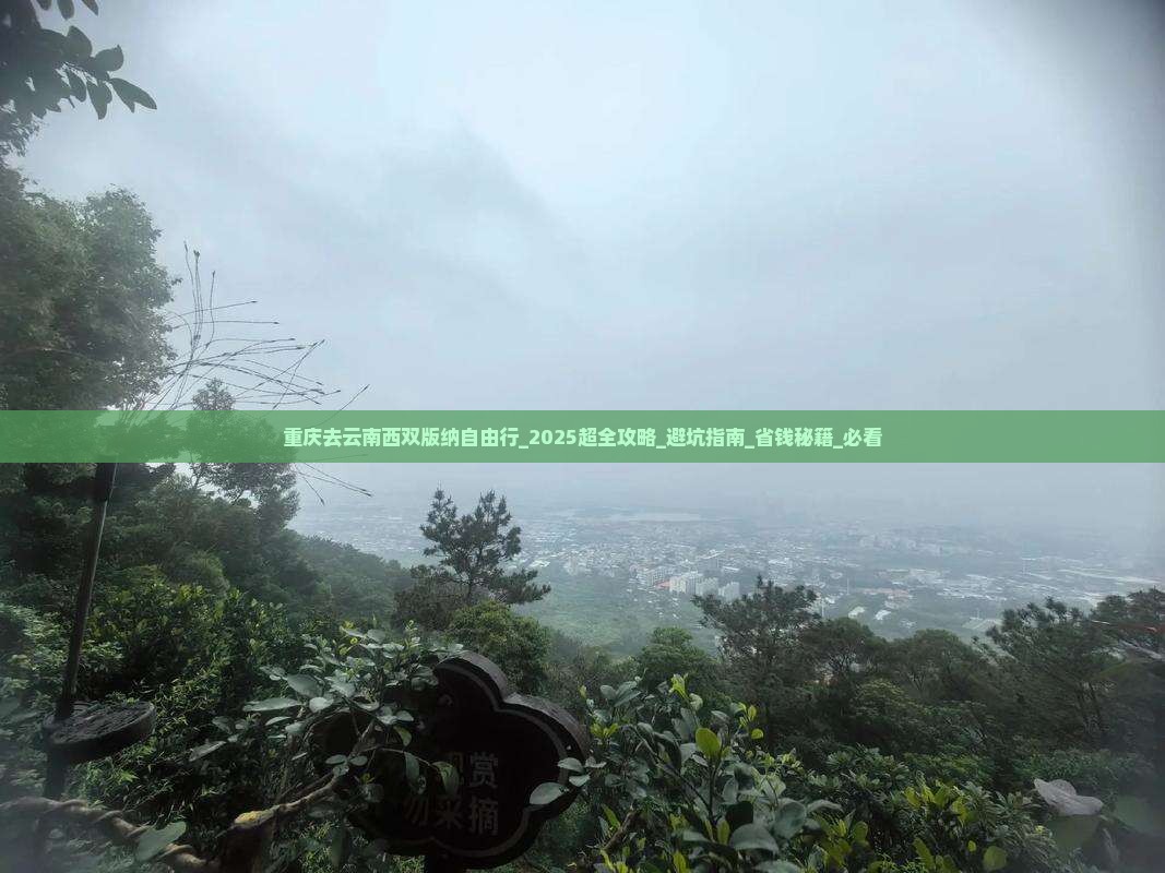 重庆去云南西双版纳自由行