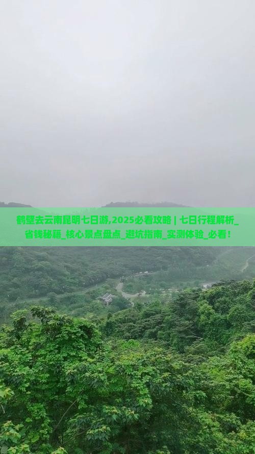 鹤壁去云南昆明七日游