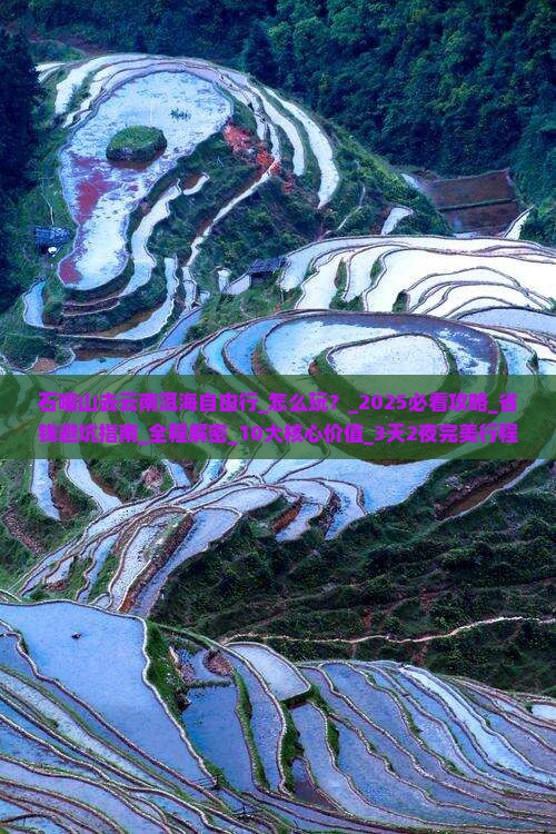 石嘴山去云南洱海自由行