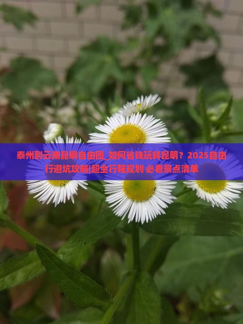 泰州到云南昆明自由团