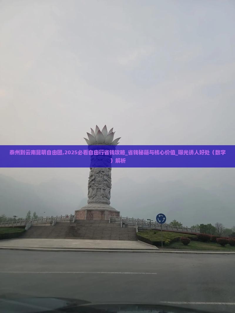 泰州到云南昆明自由团