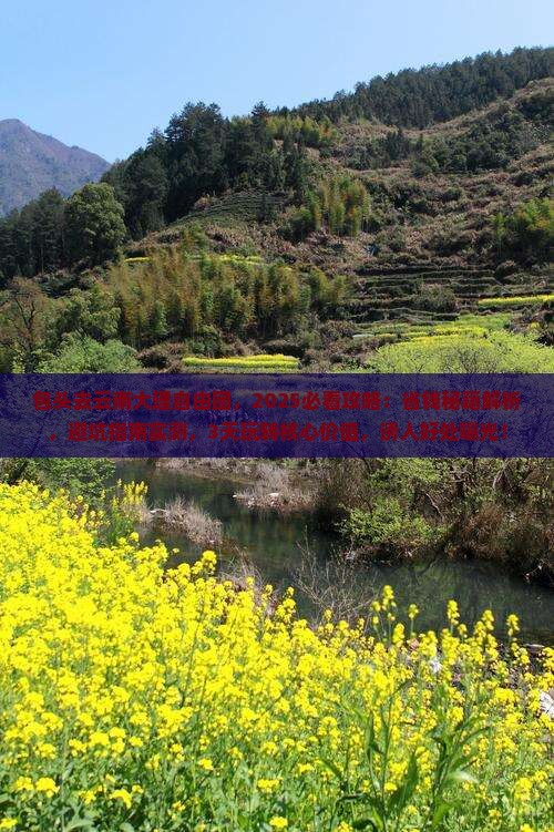 包头去云南大理自由团