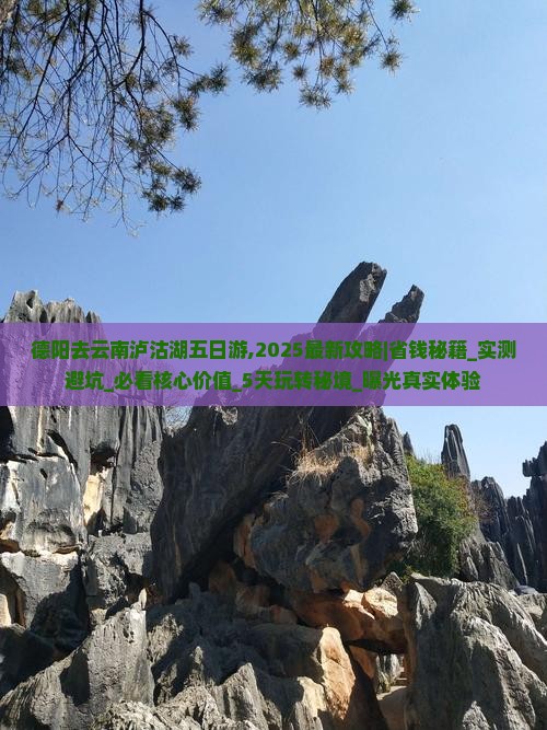 德阳去云南泸沽湖五日游