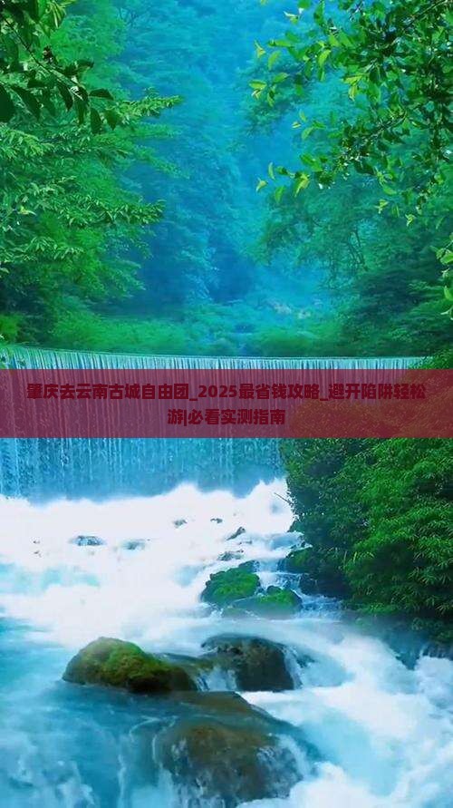 肇庆去云南古城自由团