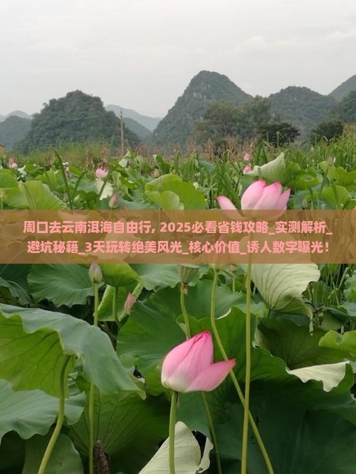 周口去云南洱海自由行