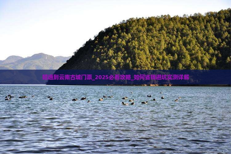 昭通到云南古城门票