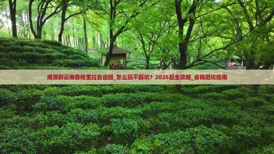 湘潭到云南香格里拉自由团