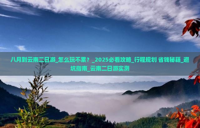 八月到云南二日游