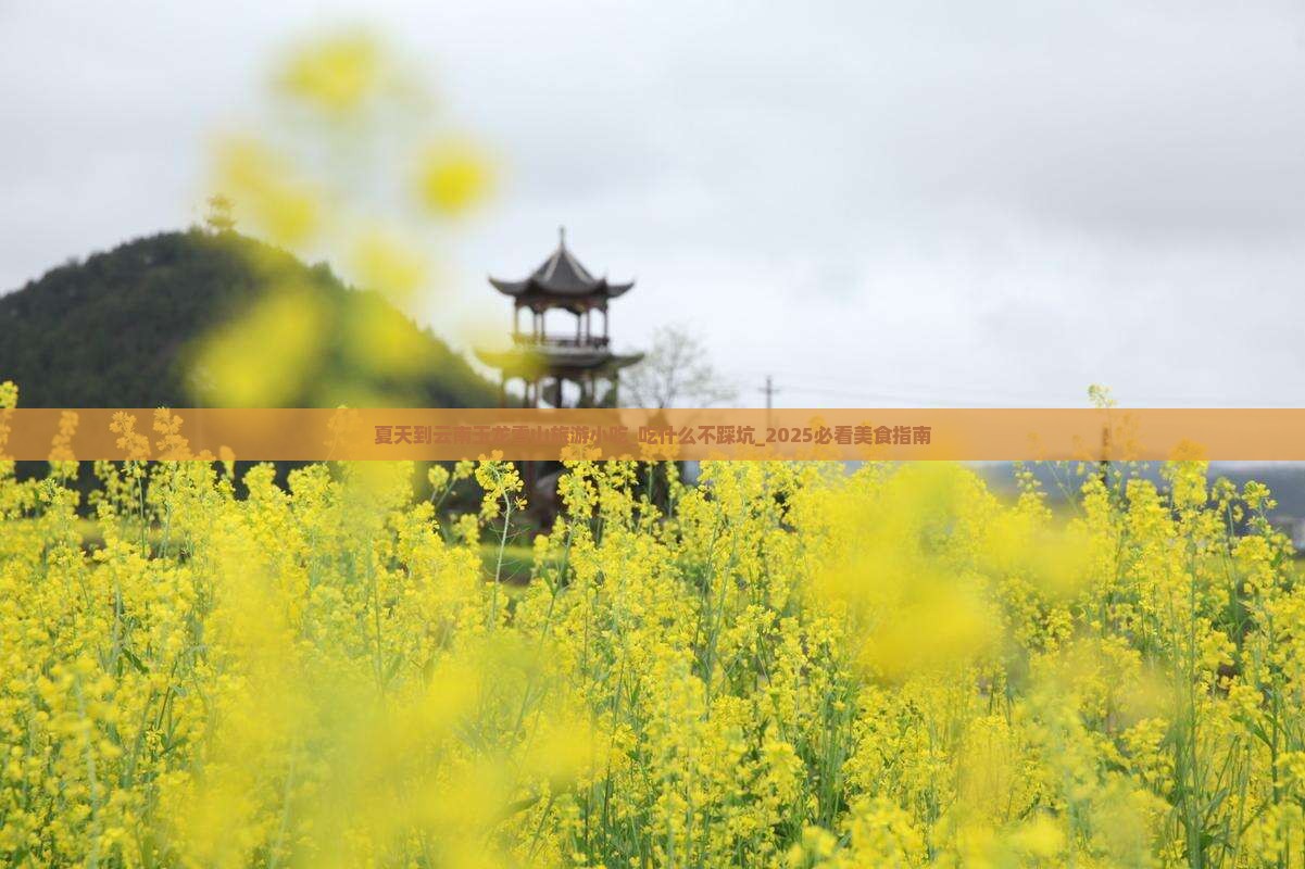 夏天到云南玉龙雪山旅游小吃