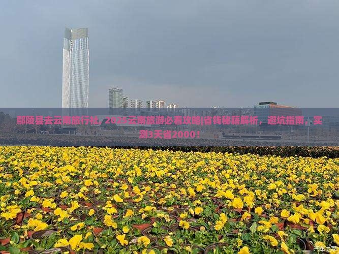 鄢陵县去云南旅行社